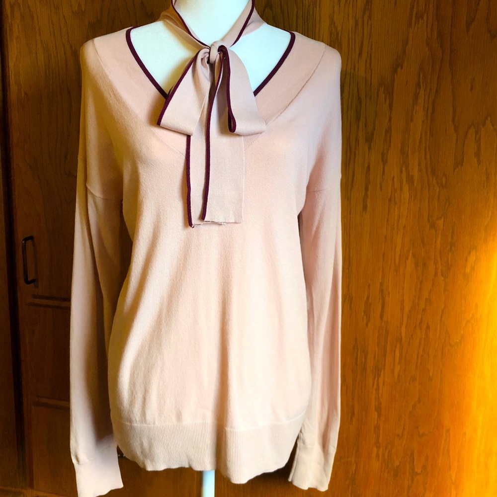 Ann Taylor Long Sleeves Blouse